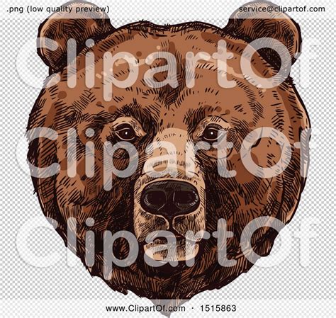 Clipart Of A Sketched Grizzly Bear Face Royalty Free Vector
