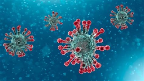 A virus is a small infectious agent that can only replicate inside the cells of another organism. Coronavirus COVID-19 pandemic: What is a virus? Are ...