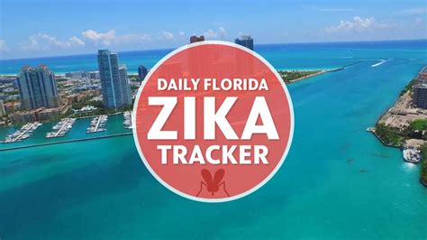 Daily Zika Tracker Miami Herald