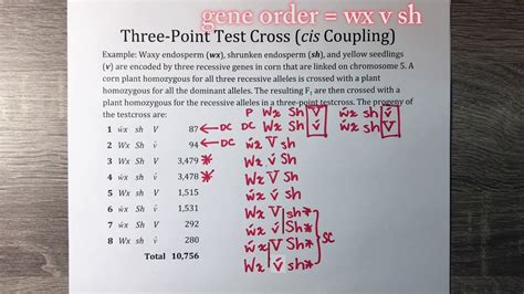 Three Point Test Cross Youtube