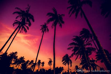 2019 Beautiful Purple Sky Palm Trees Sunset Beach