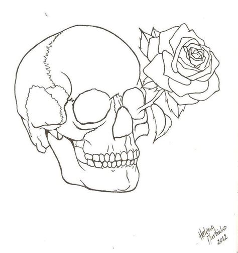 What does a skull and rose tattoo mean? Skull Rose Drawing Outline - Gallery | Skull and rose ...