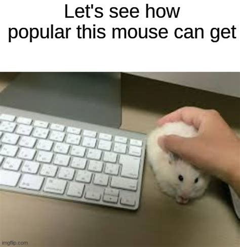 Computer Mouse Imgflip