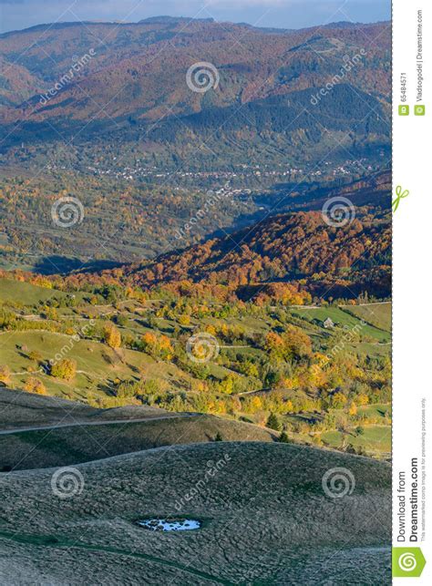 Mountain Autumn Landscape With Colorful Forest Vertical Panoramic View