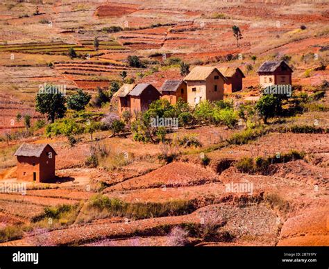 Rice Terrace Terraced Madagascar Hi Res Stock Photography And Images