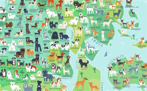 A List Of Every Dog Breed In The World