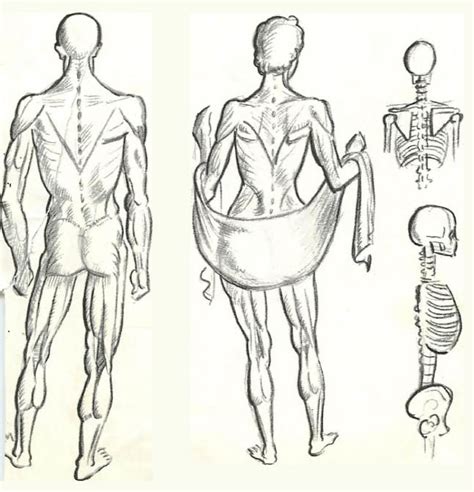 Figure Drawing Tutorial For Beginners How To Draw People And Their