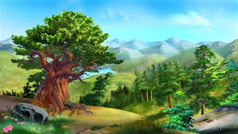 Huge Oak Tree On The Edge Of The Forest Stock Photo Image Of Tale