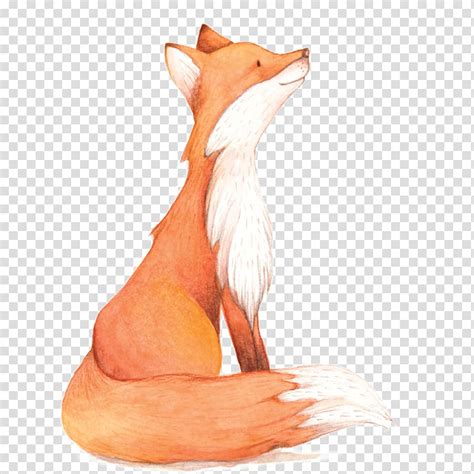 Pintura em aquarela Fox raposa aquarela ilustração de raposa png RealPNG