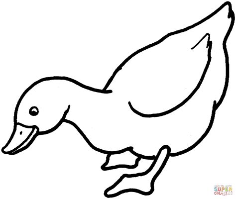 Duck 1 Coloring Page Free Printable Coloring Pages