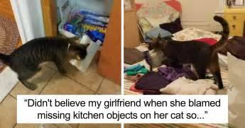 Just like some people, cats can become jealous when they feel they're being excluded or their environment has typical jealous behaviors include hissing, growling, and swatting at the object that the cat is jealous of, such as your cell phone while you are holding it. Boyfriend Doesn't Believe His GF Who Blames Cat For ...
