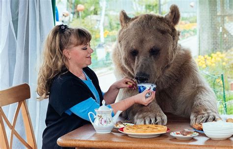 Viralife An Orphan Bear Cub Was Rescued By A Russian Couple But They