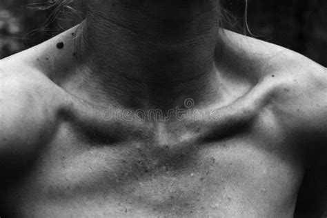Female Clavicles Neck Moles Skin Stock Photos Free And Royalty Free