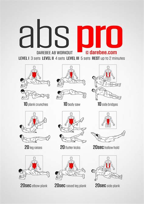 Abs Pro Workout | Abs workout, Abs workout routines, Gym workout tips
