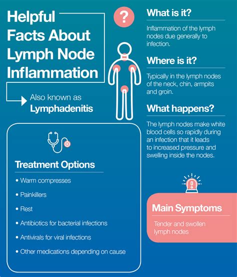 Lymph Node Inflammation Lymphadenitis Causes Treatments The Amino