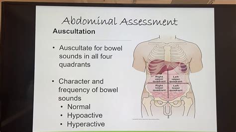 Abdominal Assessment Youtube