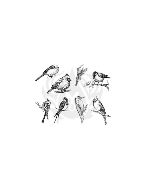 DSS108 Designer Silkscreen Aviari Small Birds
