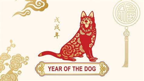 2018 is the year of the of the brown earth dog and those born under this sign tend to show great determination and could attain the highest level of achievement if they decide too. Chinese Zodiac 2018: The Year Of The Dog And What It Means ...