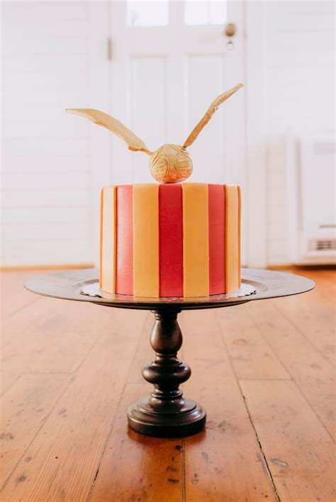 Harry Potter Themed Adult Cake Smash Honeybook