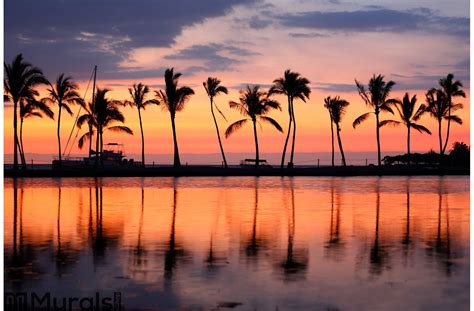 Tropical Beach Wall Mural Photo Wallpaper Sunset Palm