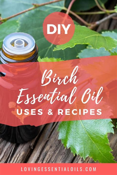 Birch Essential Oil Recipes Uses And Benefits Spotlight Loving