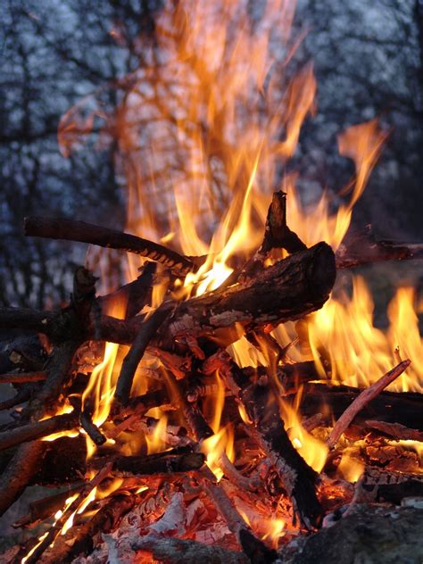 Wood Fire 6 Free Photo Download Freeimages