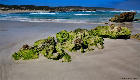 Beach At Hanson Bay Kangaroo Island South Australia Flickr