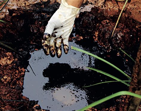 474 Oil Spills In The Peruvian Amazon In 19 Years Indigenous News Of The World