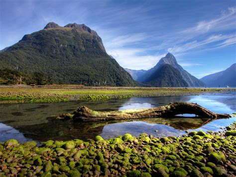 milford sound  zealand hd wallpapers  laptop