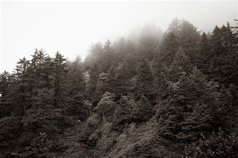 Foggy Mountain Top Photograph By Alex Wolfe Fine Art America