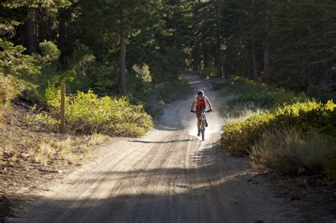 Mammoth Lakes Trail System Mountain Biking Mammoth Lakes California