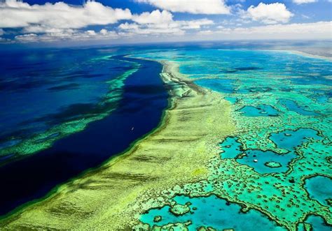 The Great Barrier Reef Places To Visit Places To Travel