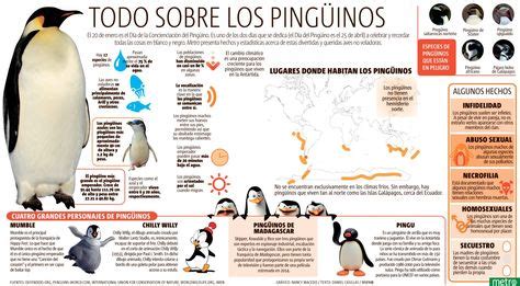 Todo sobre los pingüinos infografía uno Natural disasters