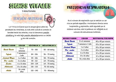 Signos Vitales Udocz