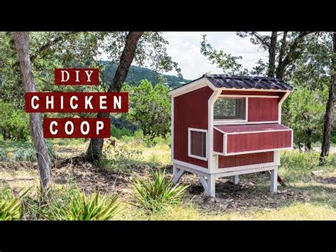 Build the ramp for the chickens out of ply, ours measured 260mm x 1000mm. DIY Backyard Chicken Coop | How to Build - Part 1 - YouTube