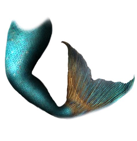 Download High Quality Mermaid Tail Clipart Realistic Transparent PNG Images Art Prim Clip Arts