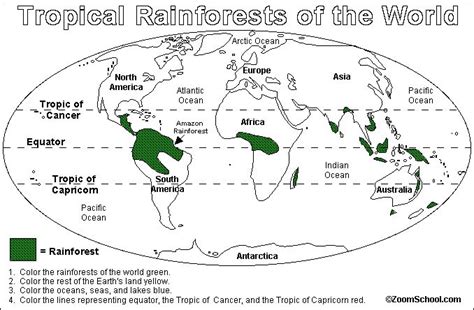 Rainforest Locations Worldwide Rainforestrainforestwhere Wikijujol