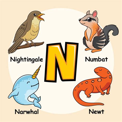 Animals Alphabet Letter N For Narwhal Newt Numbat Nightingale Bird