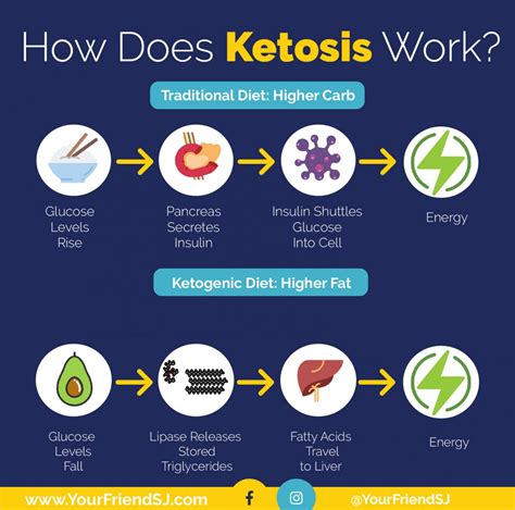 Keto For Dummies The Ketogenic Diet Explained Yourfriendsj