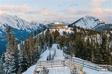 Banff Gondola Official Page Amazing Mountain Top Views And Dining