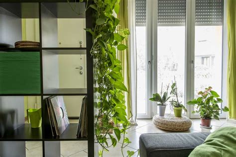 Jedes haus hat seinen eigenen individuellen charme. Zuhause wohnen: Mit Grünpflanzen gestalten und dekorieren ...