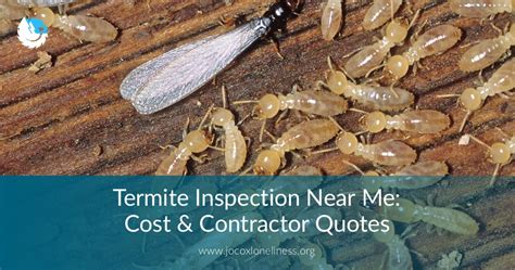 We did not find results for: Termite Inspection Near Me: Cost & Contractor Quotes