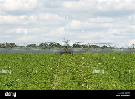 Briggs Self Propelled Water Irrigation System Stock Photo Alamy