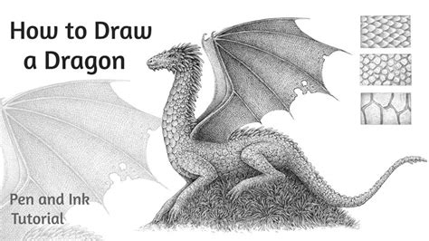 With a light touch, begin to add darker tone layers by following the previous contour lines. How to Draw a Dragon with Pen and Ink