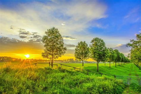 scenery, Sunrise, And, Sunset, Field, Trees, Nature Wallpapers HD ...