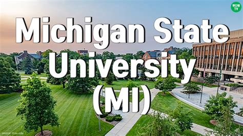 엔디쌤tv 미국 대학 이야기 78 번째 미시간 주립 대학 Michigan State University MI
