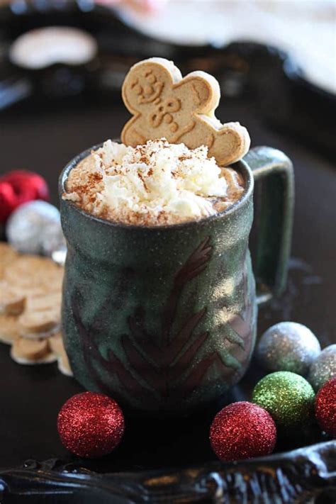 17 decadent hot chocolate recipes you need to taste messy bits gingerbread hot cocoa