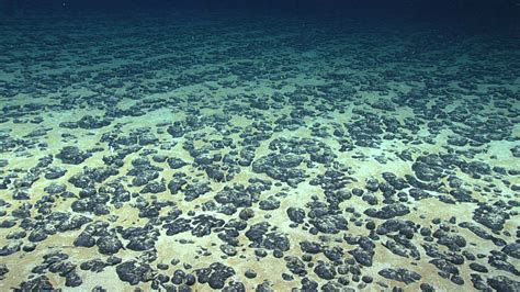 Searching For Historic Deep Sea Mining Impacts On The Blake Plateau