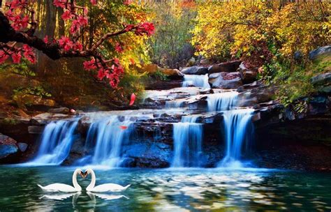 Nature Forest Waterfall Tv Backdrop Papel Parede Mural