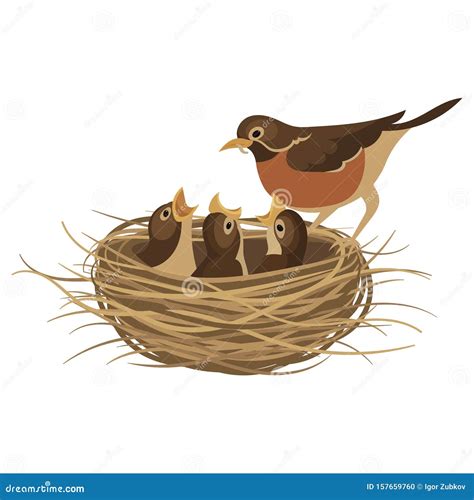 Cartoon Bird S Nest With Chicks Vector Illustration For Children
